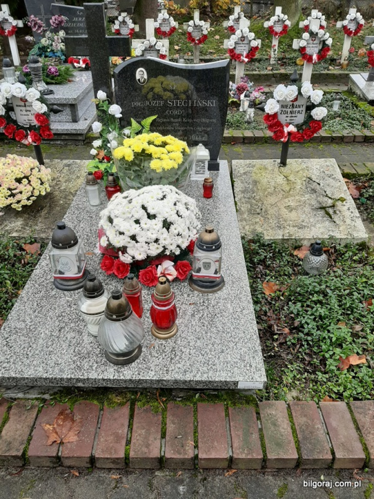 Akcja BTR Chryzantemy - Covid-19 (FOTO)