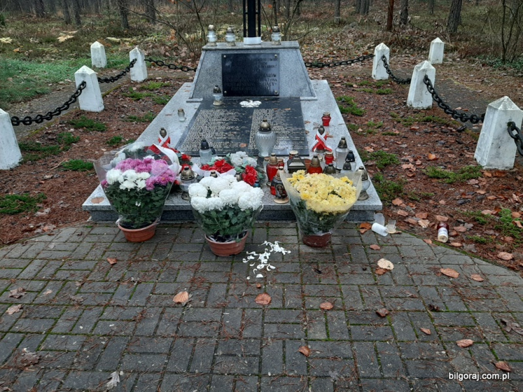 Akcja BTR Chryzantemy - Covid-19 (FOTO)