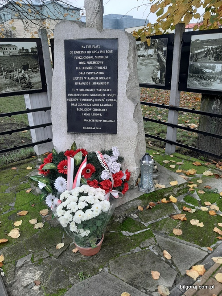 Akcja BTR Chryzantemy - Covid-19 (FOTO)