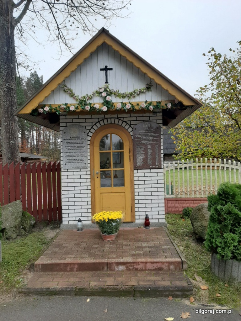 Akcja BTR Chryzantemy - Covid-19 (FOTO)