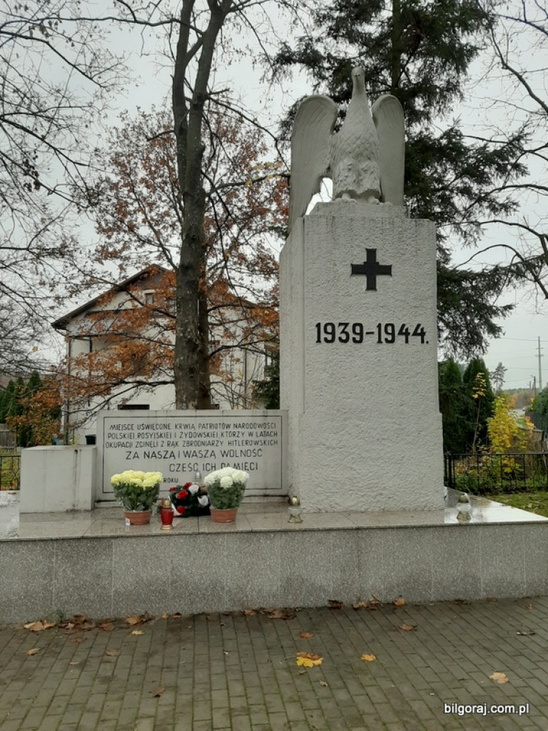 Akcja BTR Chryzantemy - Covid-19 (FOTO)