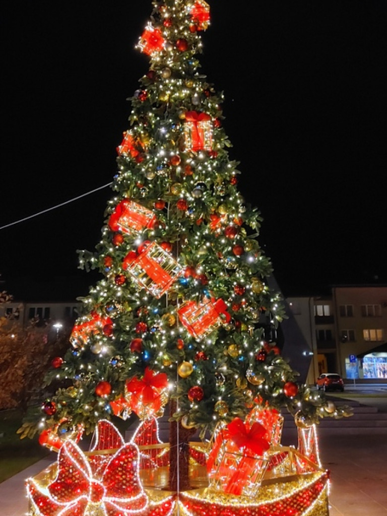Choinka stanęła na Placu Wolności w Biłgoraju (FOTO)