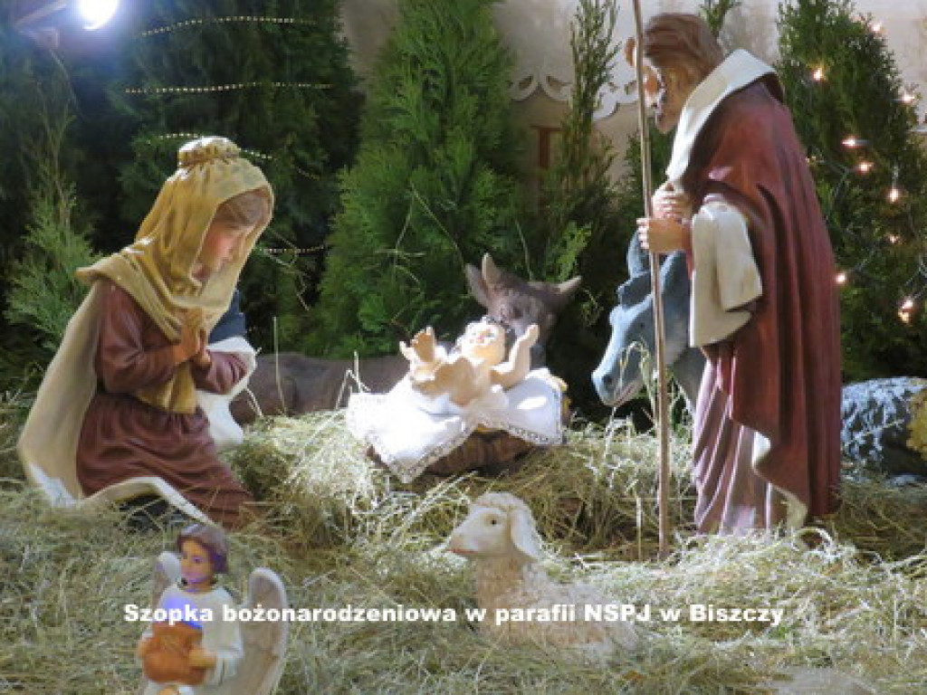 Szopki bożonarodzeniowe w parafiach powiatu biłgorajskiego (FOTO)