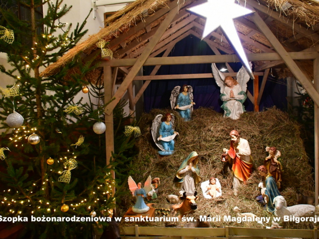 Szopki bożonarodzeniowe w parafiach powiatu biłgorajskiego (FOTO)