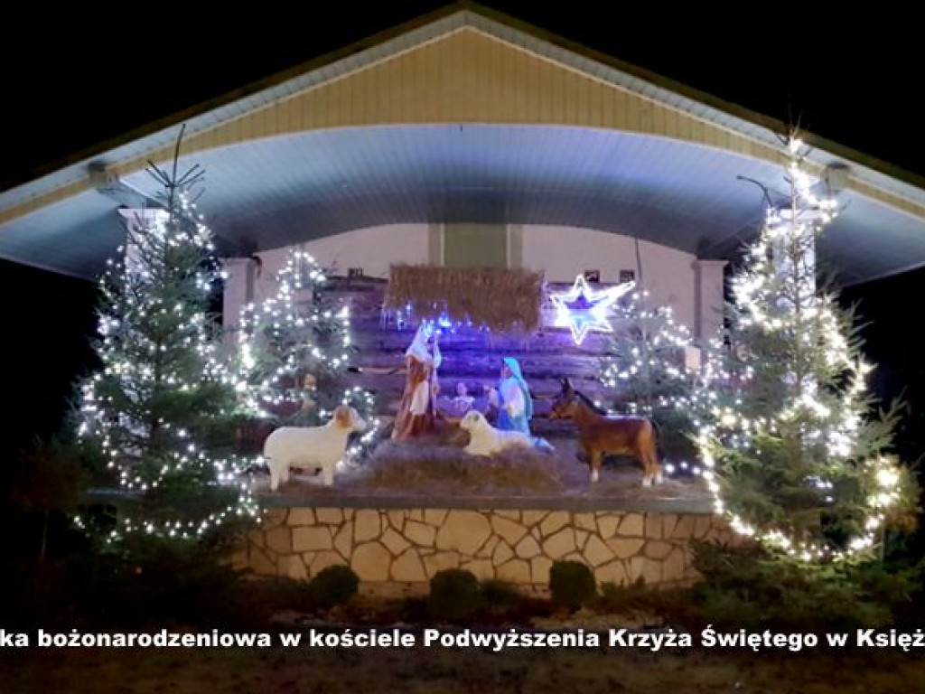 Szopki bożonarodzeniowe w parafiach powiatu biłgorajskiego (FOTO)