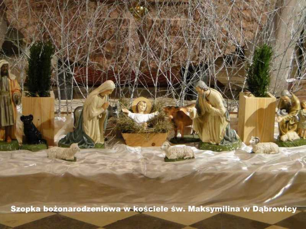 Szopki bożonarodzeniowe w parafiach powiatu biłgorajskiego (FOTO)