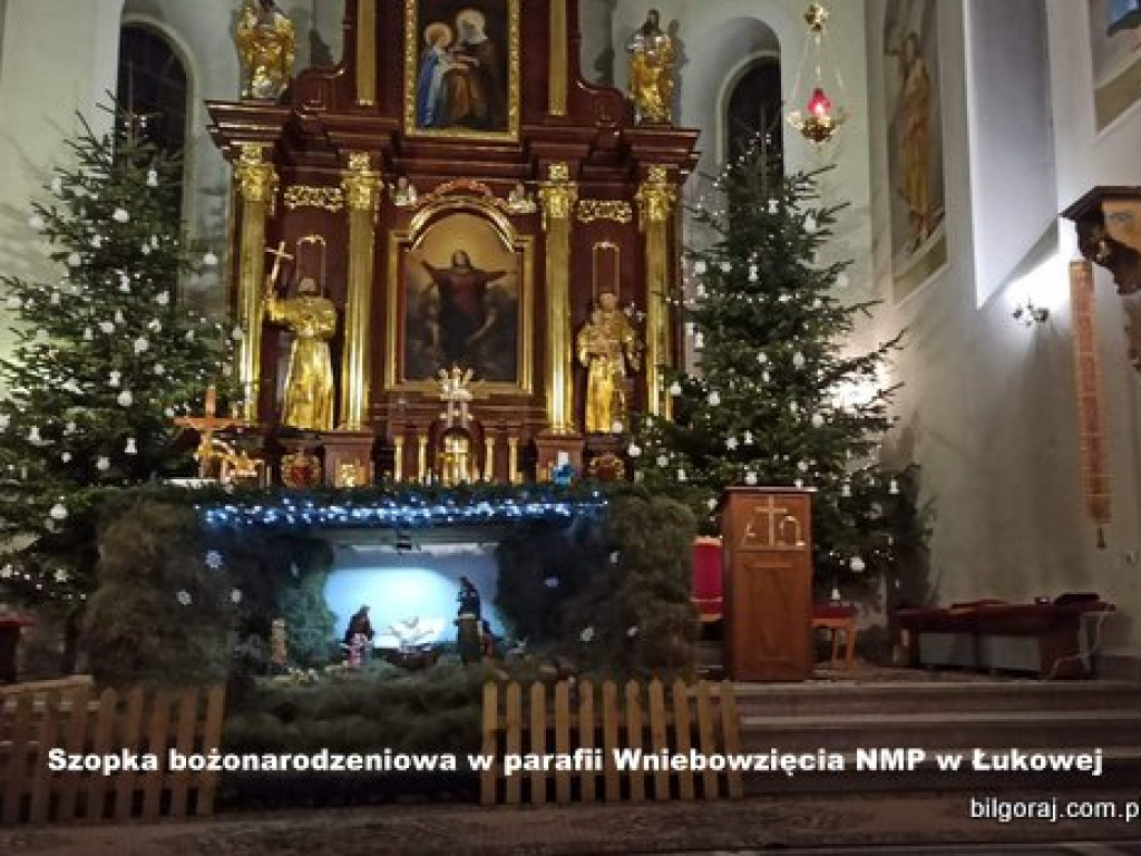 Szopki bożonarodzeniowe w parafiach powiatu biłgorajskiego (FOTO)