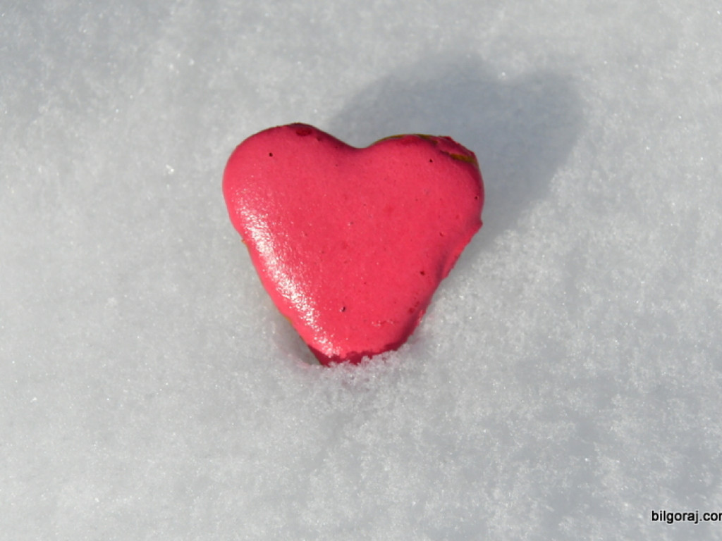 Charytatywny maraton morsowania (FOTO)