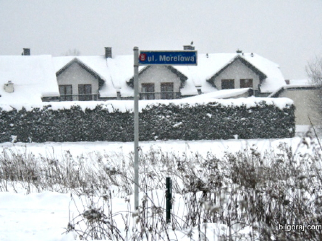 Nie ma ulic i ulicznego oświetlenia. Mieszkańcy ulic Wiśniowej, Morelowej i Jagodowej od lat czekają na konieczne inwestycje