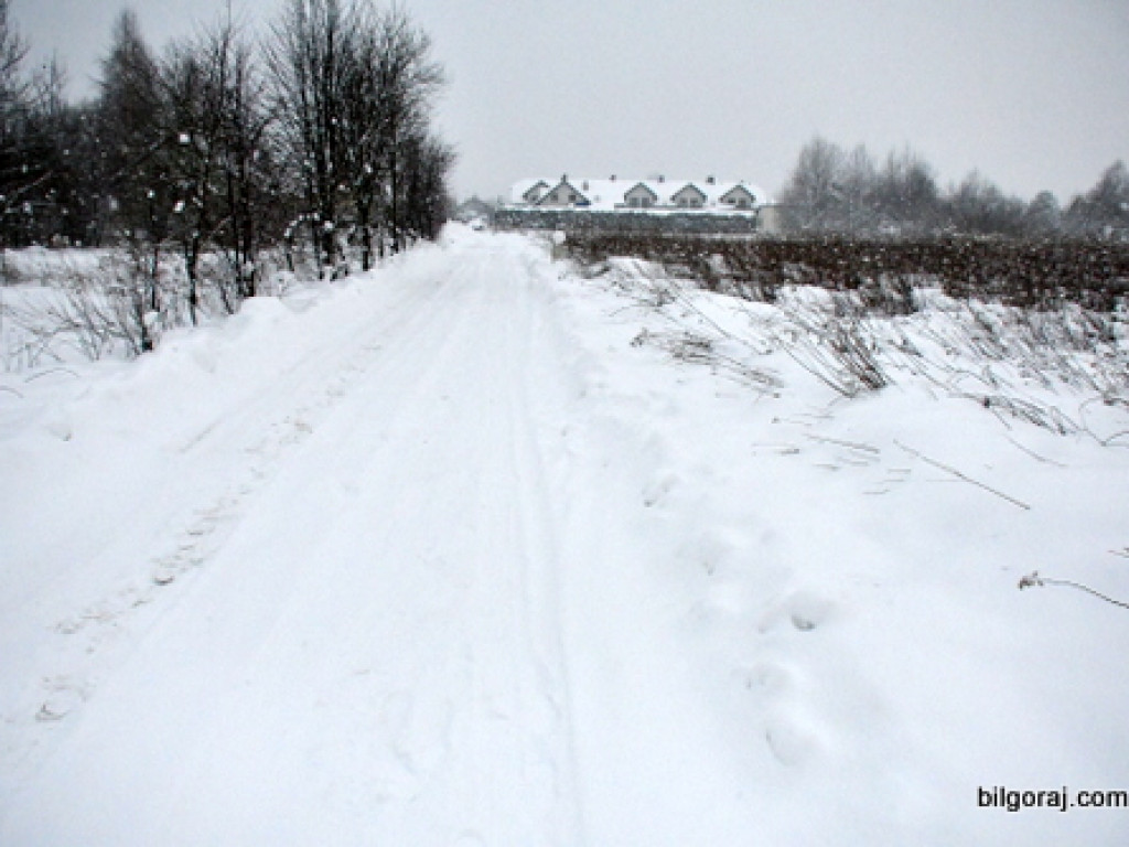 Nie ma ulic i ulicznego oświetlenia. Mieszkańcy ulic Wiśniowej, Morelowej i Jagodowej od lat czekają na konieczne inwestycje