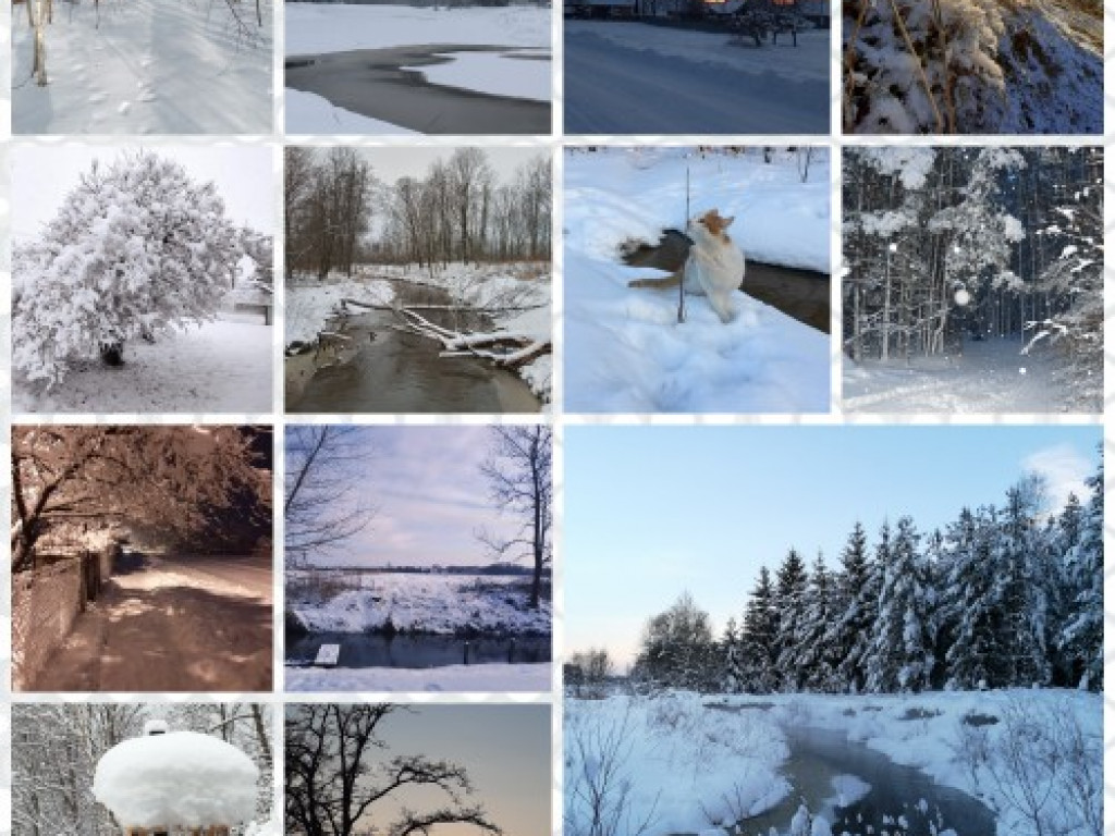 Konkurs fotograficzny pt. Zimowa pocztówka gminy Biłgoraj rozstrzygnięty (WYNIKI)