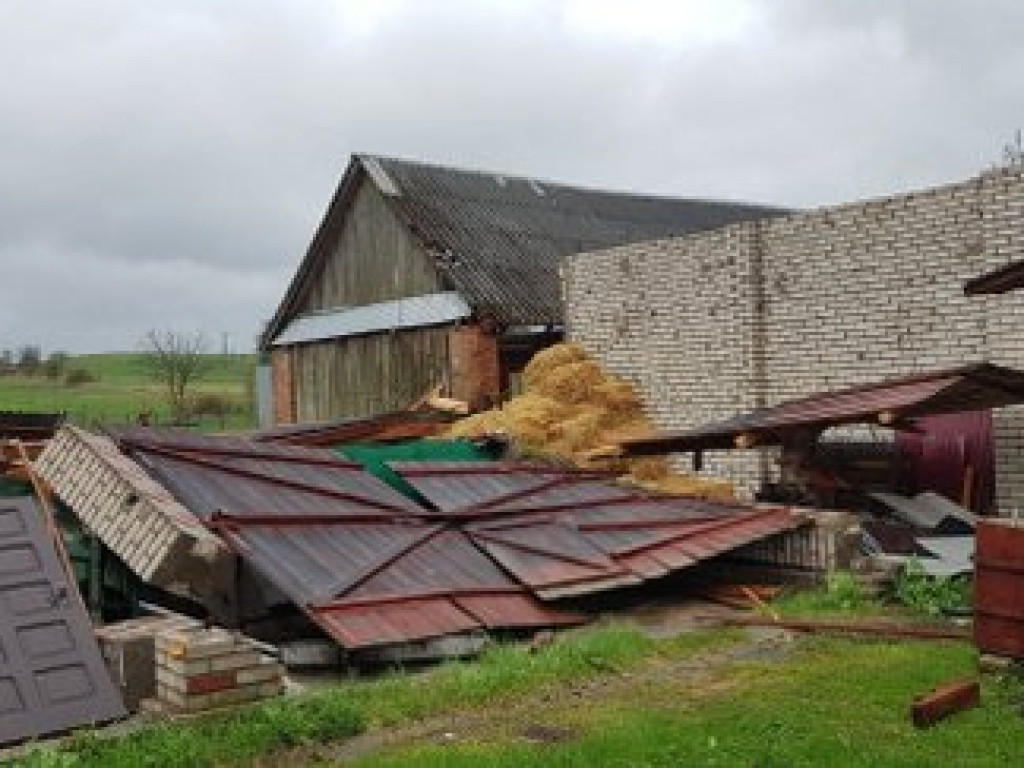 Trąba powietrzna nad Tereszpolem. Silny wiatr powalił także drzewa w regionie (FOTO, AKTUALIZACJA)