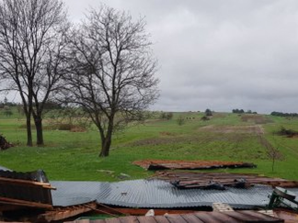 Trąba powietrzna nad Tereszpolem. Silny wiatr powalił także drzewa w regionie (FOTO, AKTUALIZACJA)