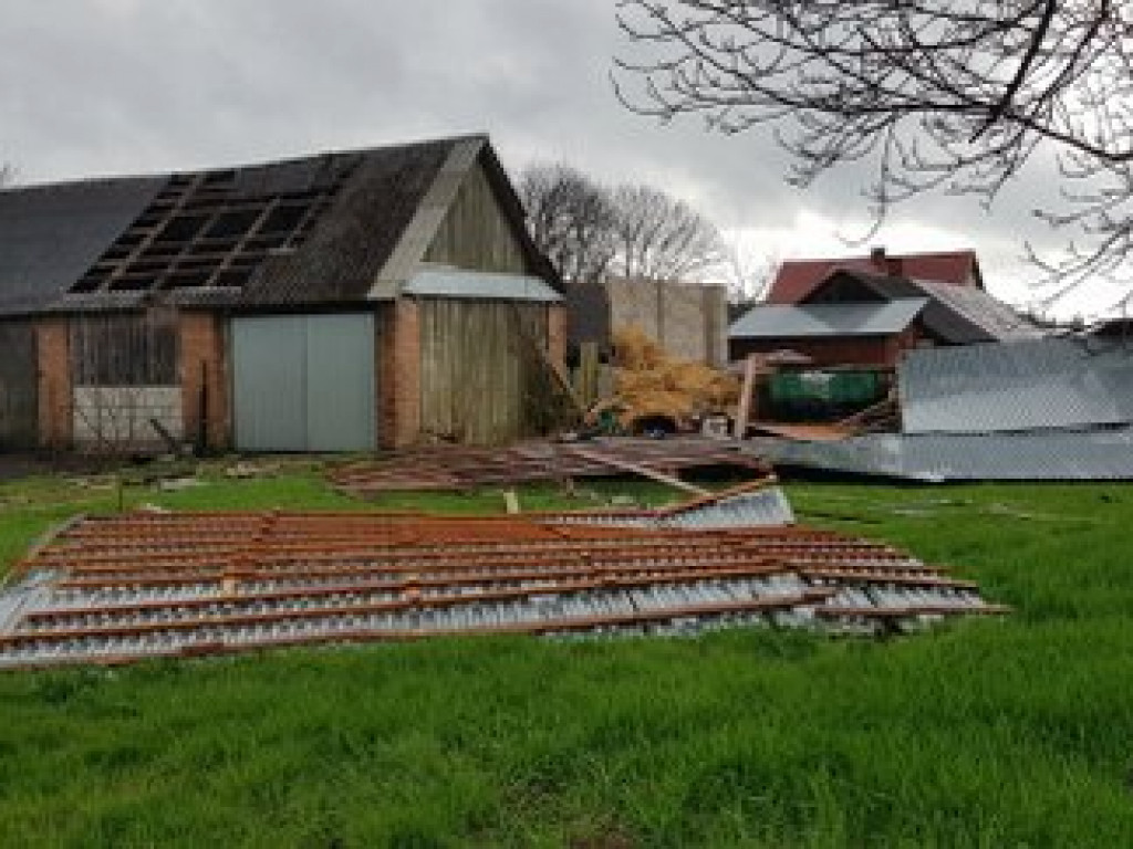 Trąba powietrzna nad Tereszpolem. Silny wiatr powalił także drzewa w regionie (FOTO, AKTUALIZACJA)