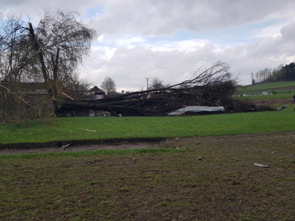Trąba powietrzna szalała nad Tereszpolem. Uszkodziła domy, zniszczyła budynki gospodarcze (FOTO)
