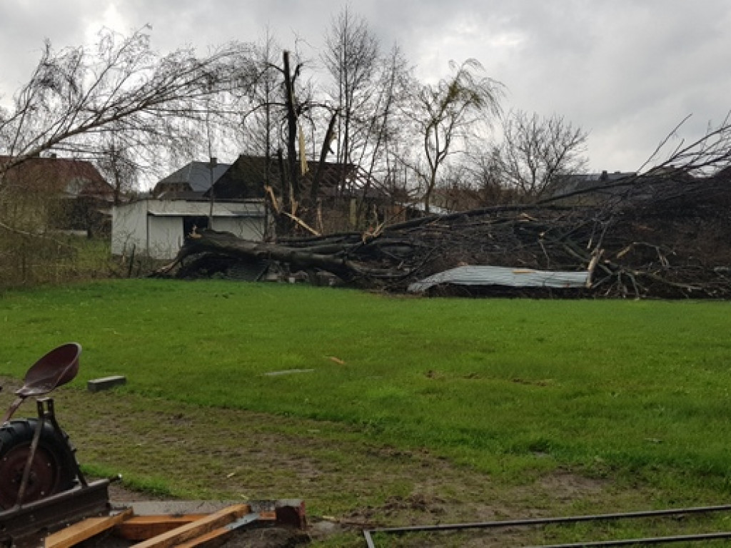 Trąba powietrzna szalała nad Tereszpolem. Uszkodziła domy, zniszczyła budynki gospodarcze (FOTO)