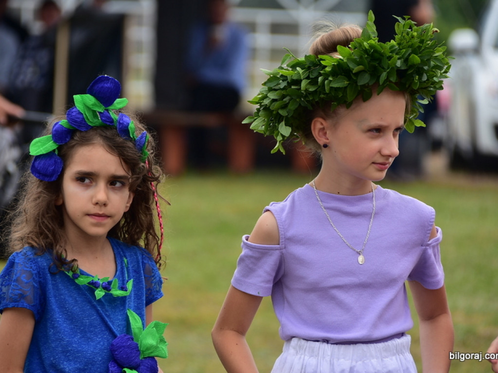 Bukowskie jagodzianki, czyli sezon zbioru jagód i runa leśnego (FOTO)