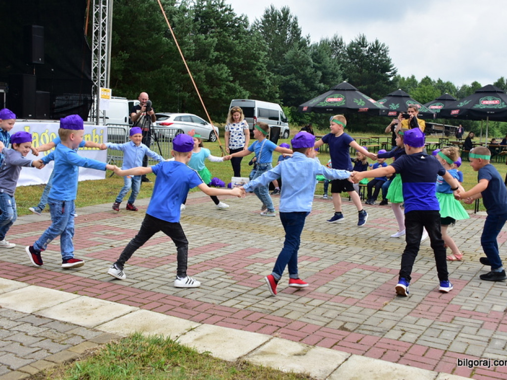 Bukowskie jagodzianki, czyli sezon zbioru jagód i runa leśnego (FOTO)