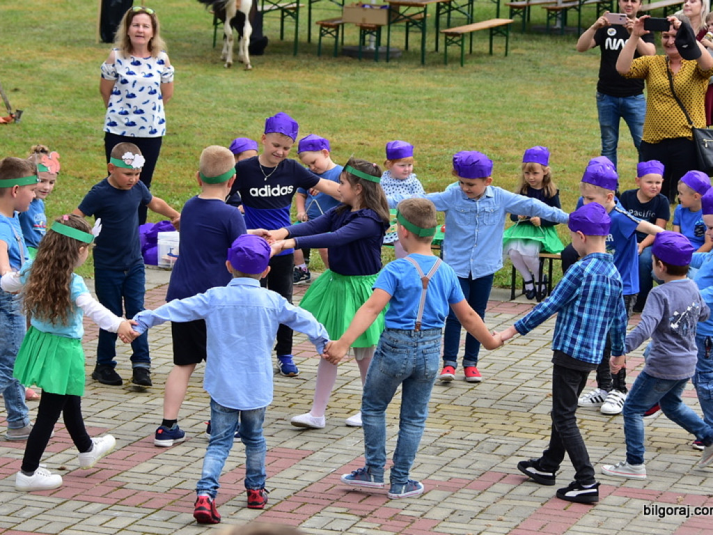 Bukowskie jagodzianki, czyli sezon zbioru jagód i runa leśnego (FOTO)