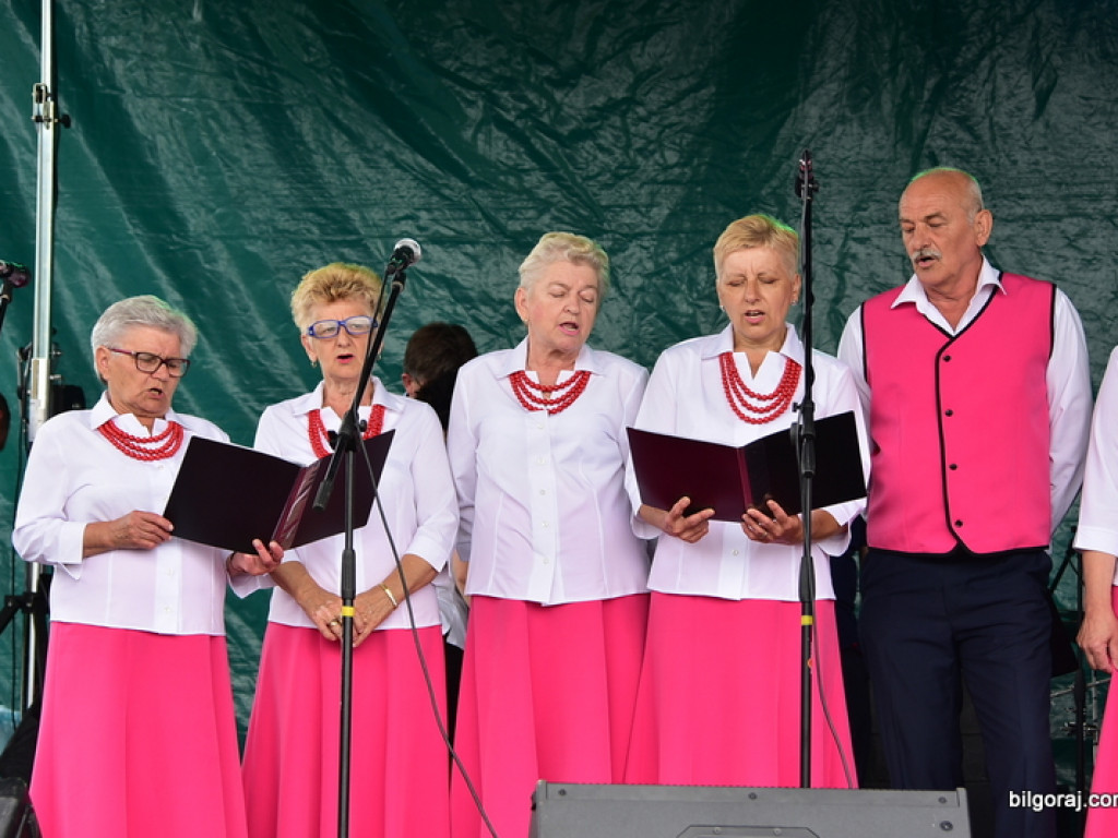 Bukowskie jagodzianki, czyli sezon zbioru jagód i runa leśnego (FOTO)
