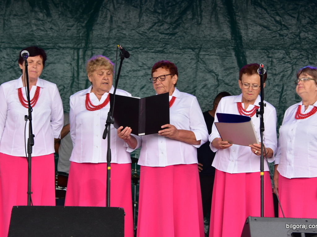 Bukowskie jagodzianki, czyli sezon zbioru jagód i runa leśnego (FOTO)