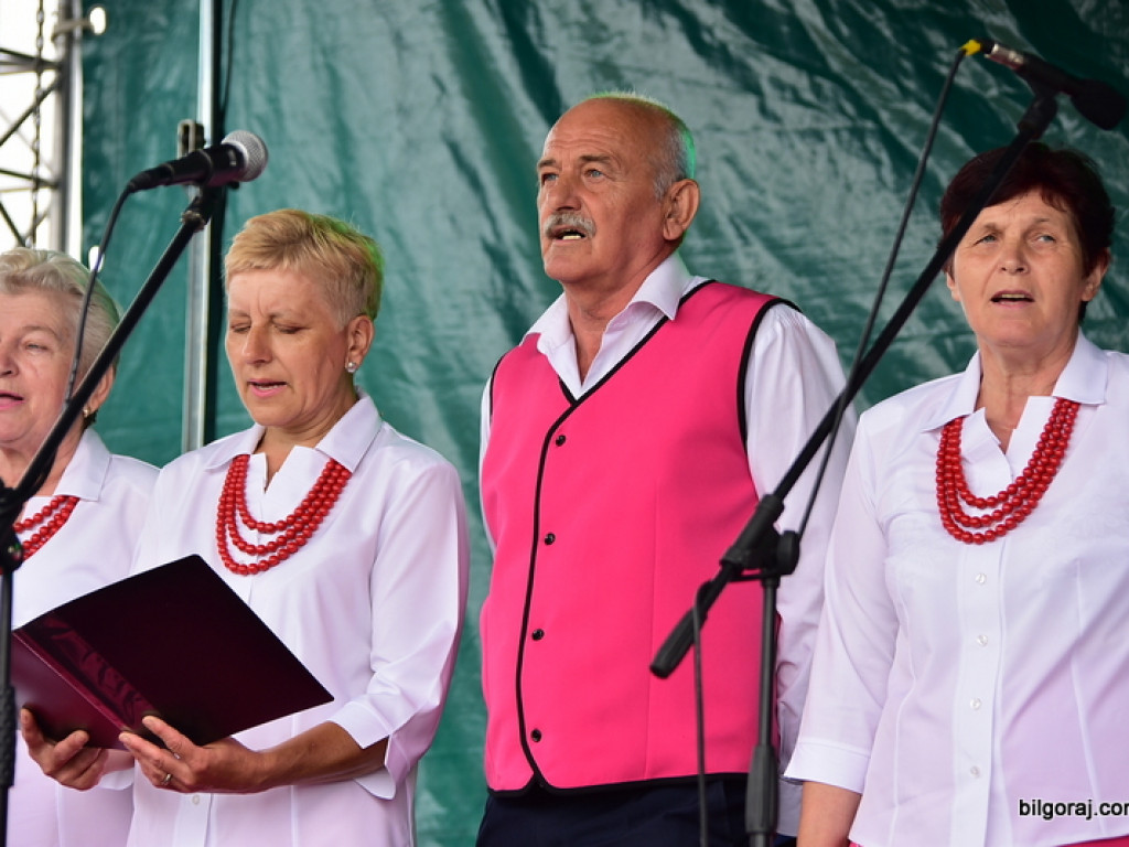 Bukowskie jagodzianki, czyli sezon zbioru jagód i runa leśnego (FOTO)