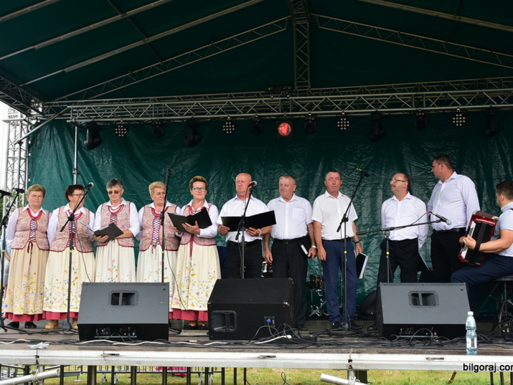 Bukowskie jagodzianki, czyli sezon zbioru jagód i runa leśnego (FOTO)