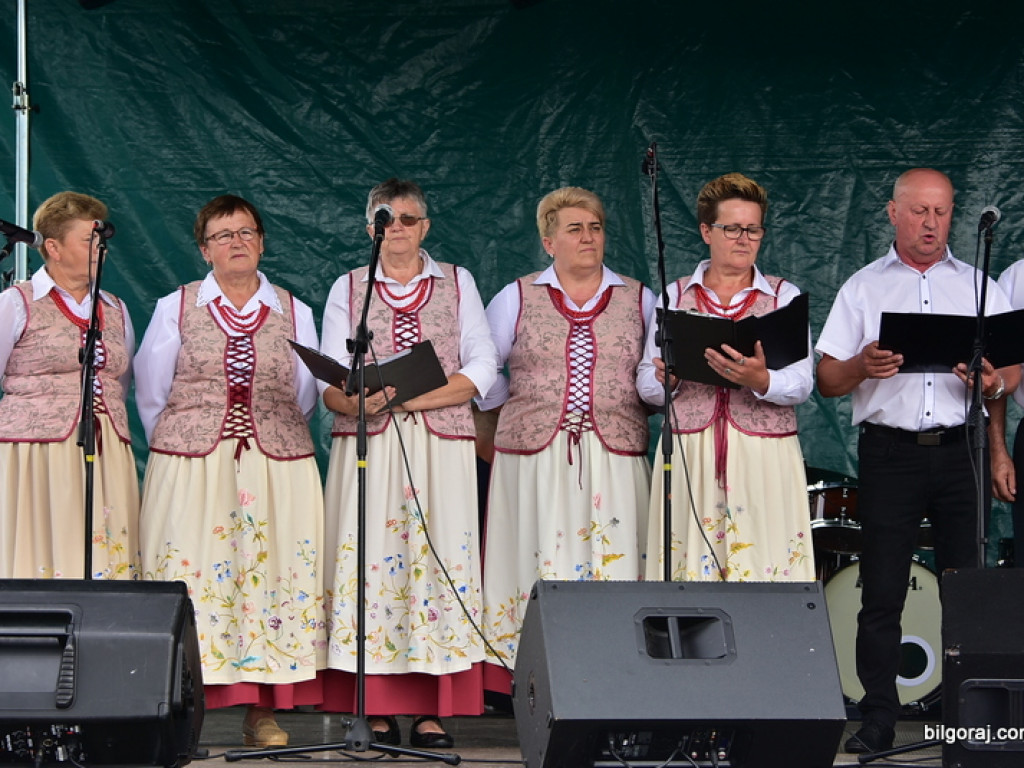 Bukowskie jagodzianki, czyli sezon zbioru jagód i runa leśnego (FOTO)