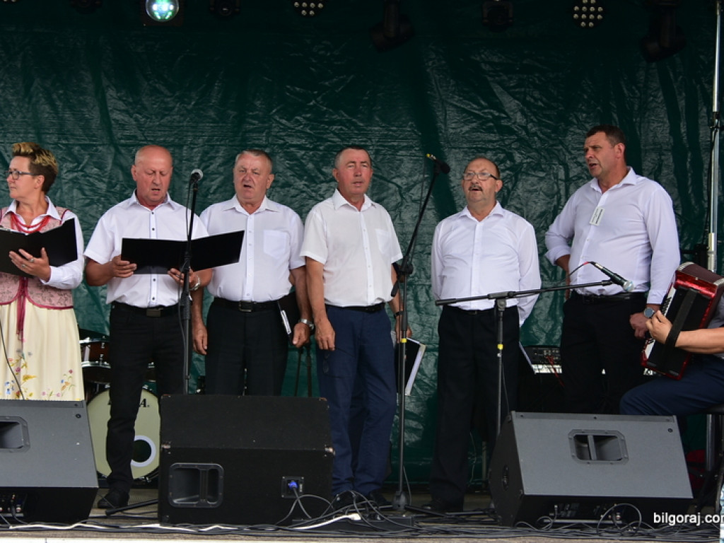 Bukowskie jagodzianki, czyli sezon zbioru jagód i runa leśnego (FOTO)