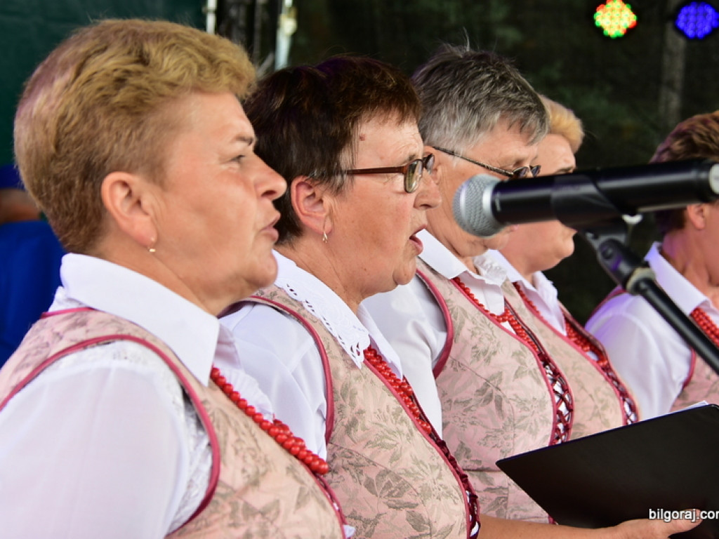 Bukowskie jagodzianki, czyli sezon zbioru jagód i runa leśnego (FOTO)