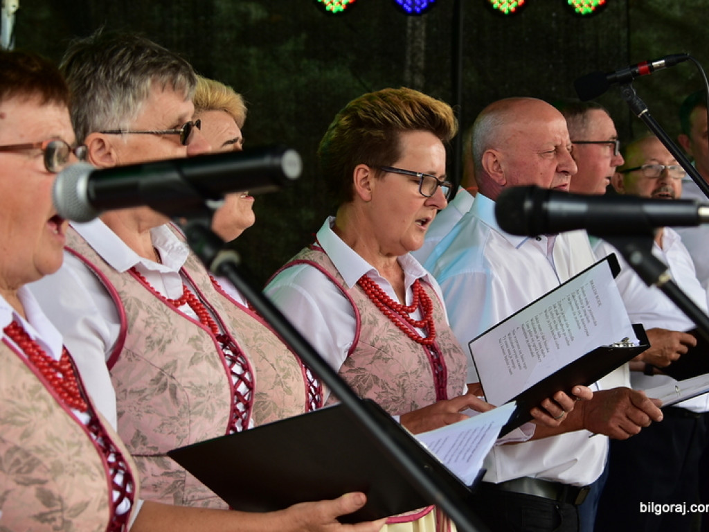 Bukowskie jagodzianki, czyli sezon zbioru jagód i runa leśnego (FOTO)