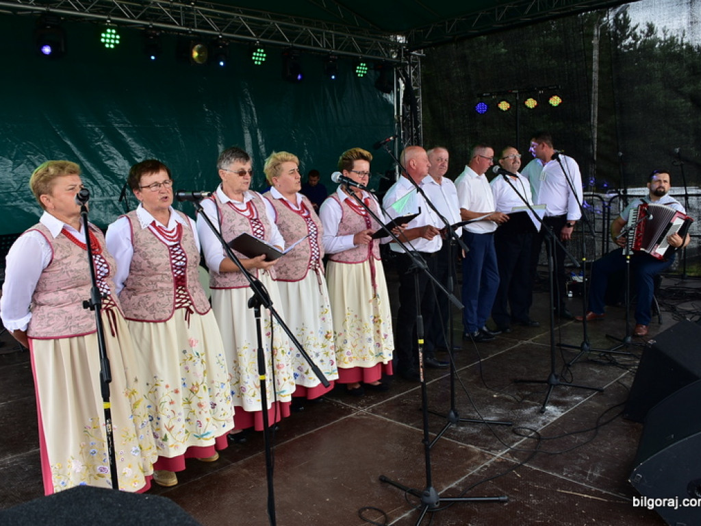 Bukowskie jagodzianki, czyli sezon zbioru jagód i runa leśnego (FOTO)