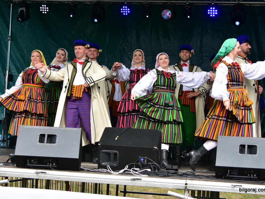 Bukowskie jagodzianki, czyli sezon zbioru jagód i runa leśnego (FOTO)