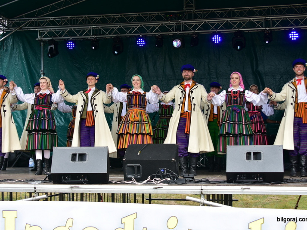 Bukowskie jagodzianki, czyli sezon zbioru jagód i runa leśnego (FOTO)