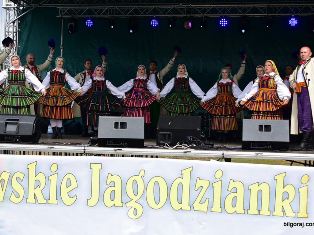 Bukowskie jagodzianki, czyli sezon zbioru jagód i runa leśnego (FOTO)