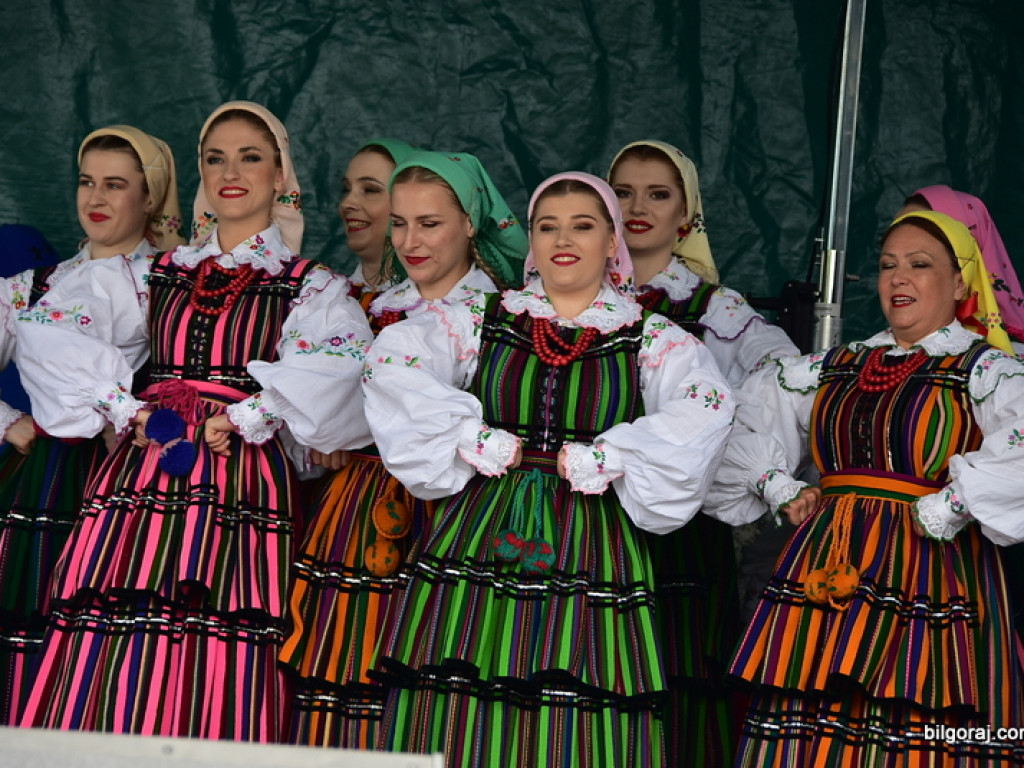 Bukowskie jagodzianki, czyli sezon zbioru jagód i runa leśnego (FOTO)