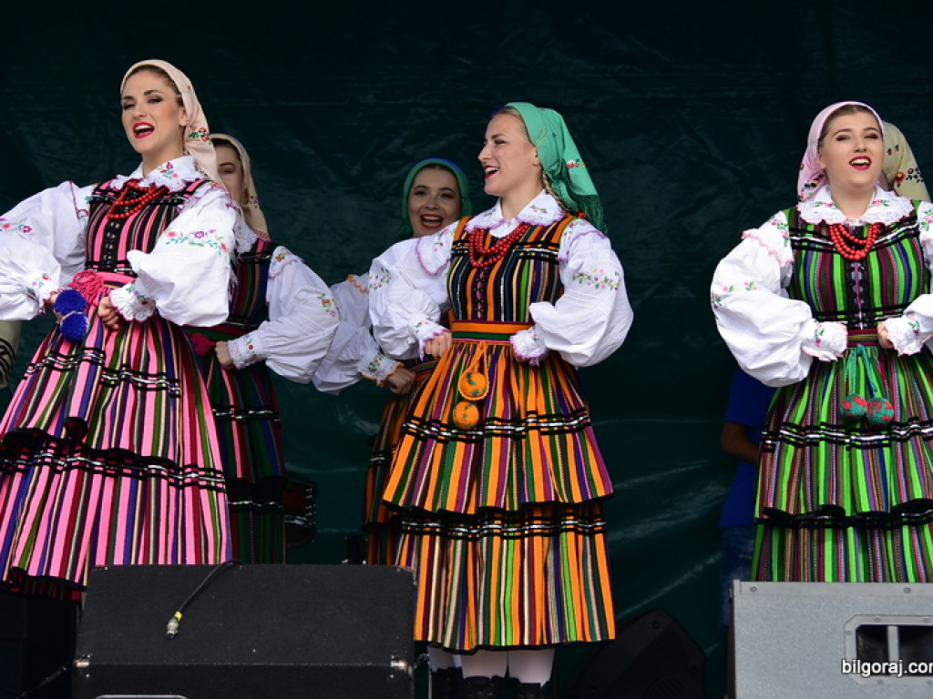 Bukowskie jagodzianki, czyli sezon zbioru jagód i runa leśnego (FOTO)