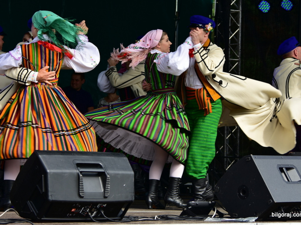Bukowskie jagodzianki, czyli sezon zbioru jagód i runa leśnego (FOTO)