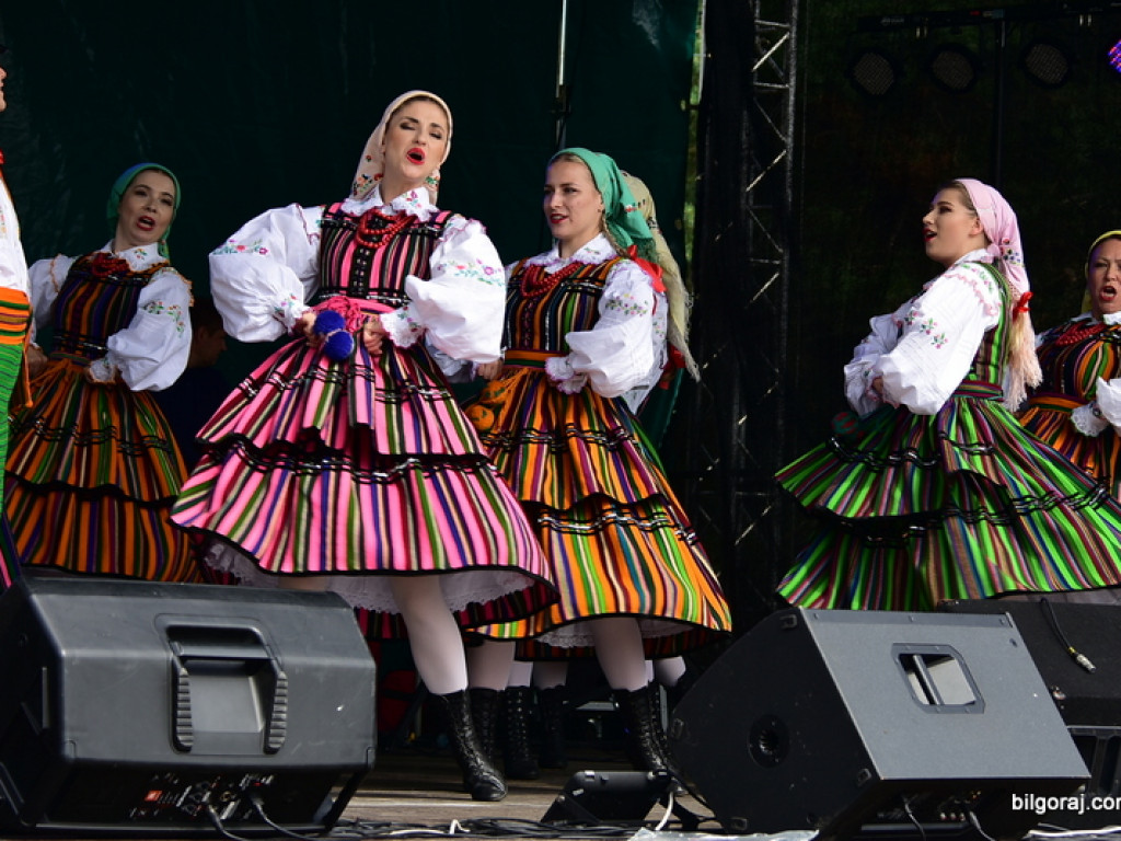 Bukowskie jagodzianki, czyli sezon zbioru jagód i runa leśnego (FOTO)