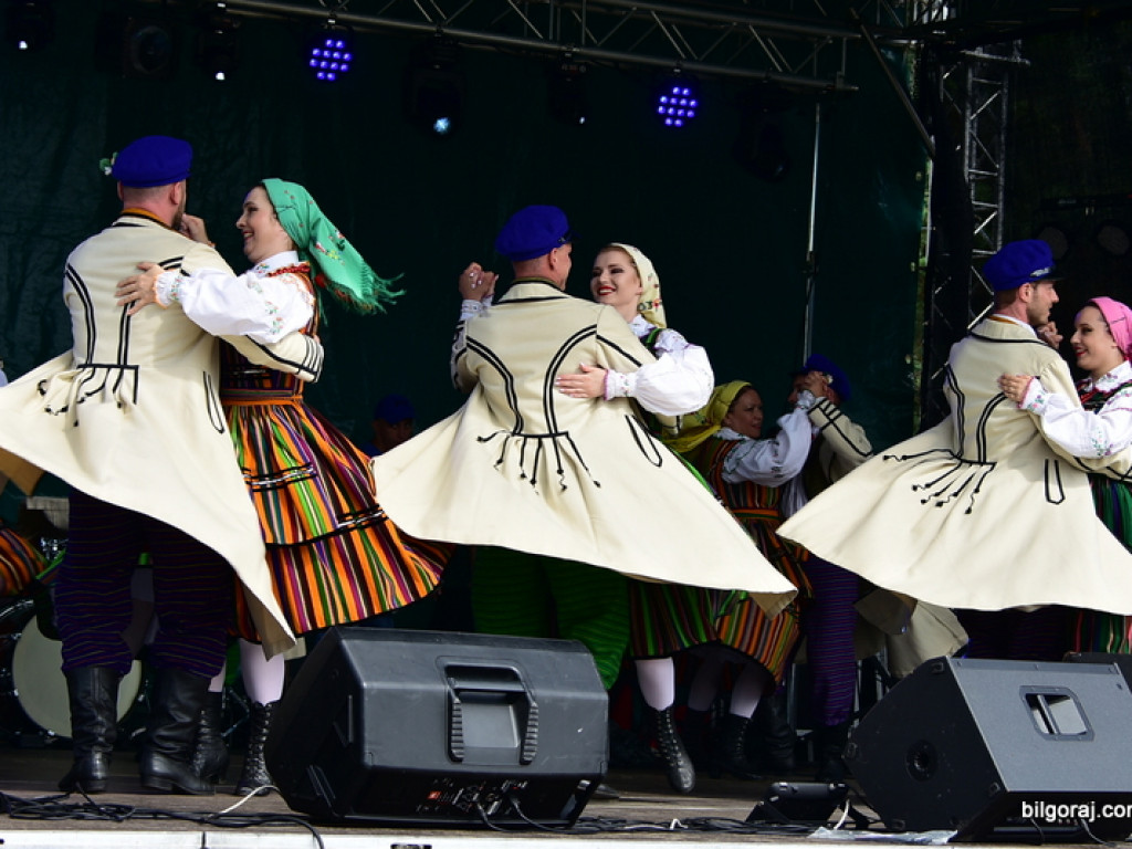 Bukowskie jagodzianki, czyli sezon zbioru jagód i runa leśnego (FOTO)