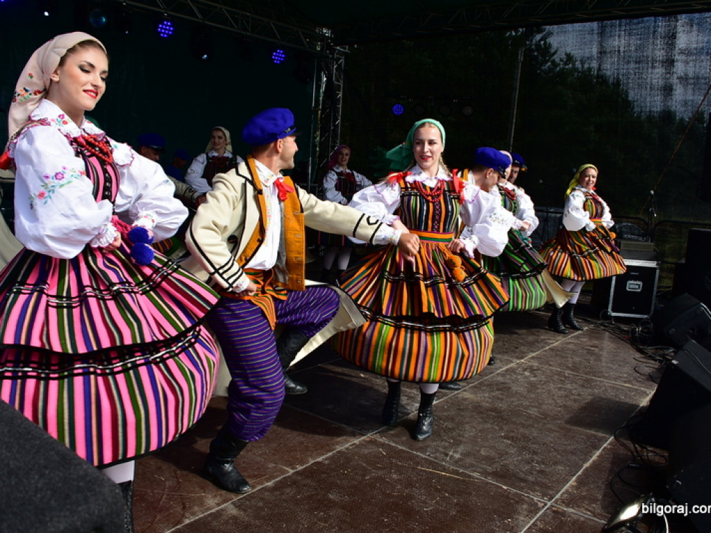Bukowskie jagodzianki, czyli sezon zbioru jagód i runa leśnego (FOTO)