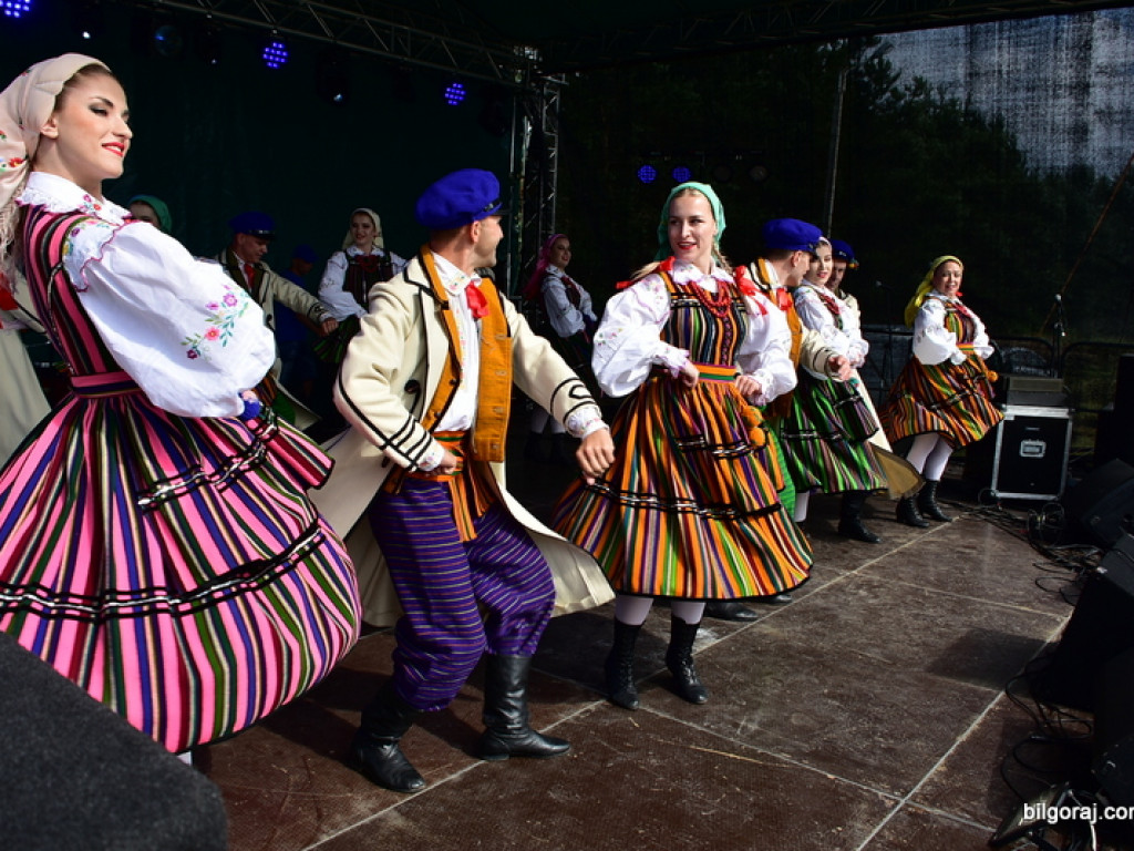 Bukowskie jagodzianki, czyli sezon zbioru jagód i runa leśnego (FOTO)