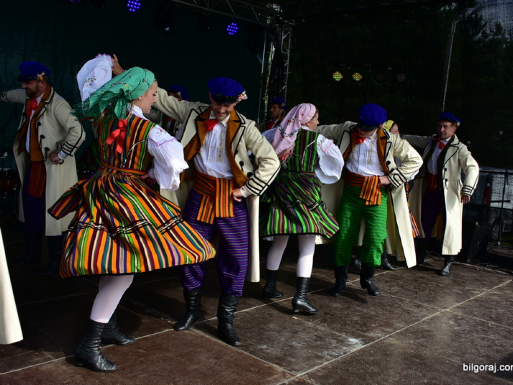 Bukowskie jagodzianki, czyli sezon zbioru jagód i runa leśnego (FOTO)