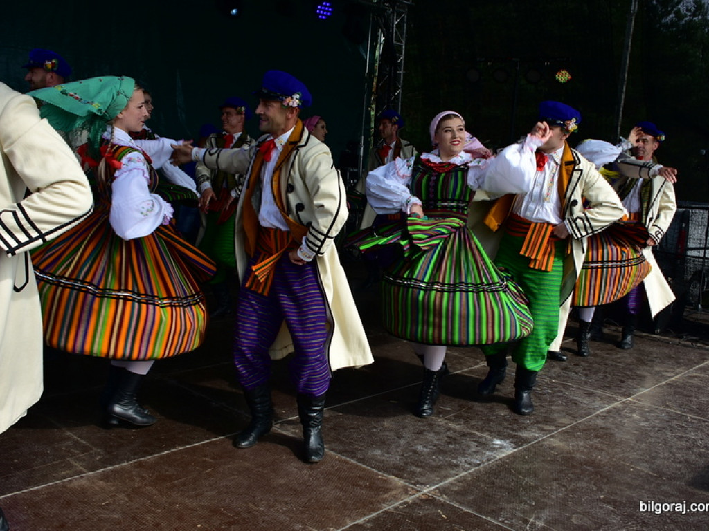 Bukowskie jagodzianki, czyli sezon zbioru jagód i runa leśnego (FOTO)
