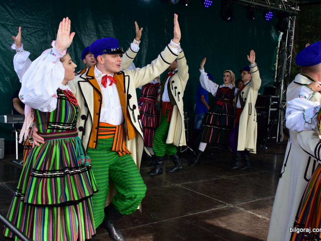 Bukowskie jagodzianki, czyli sezon zbioru jagód i runa leśnego (FOTO)