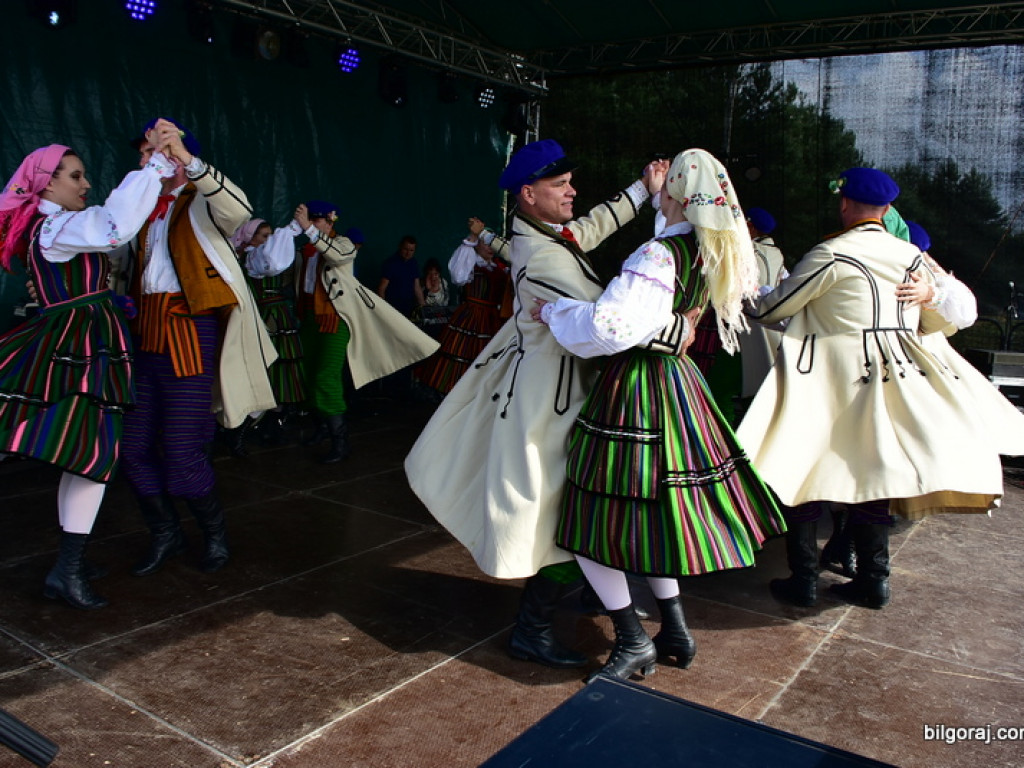 Bukowskie jagodzianki, czyli sezon zbioru jagód i runa leśnego (FOTO)