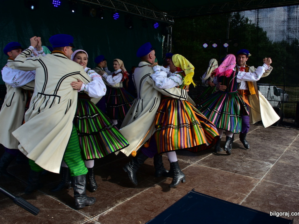 Bukowskie jagodzianki, czyli sezon zbioru jagód i runa leśnego (FOTO)