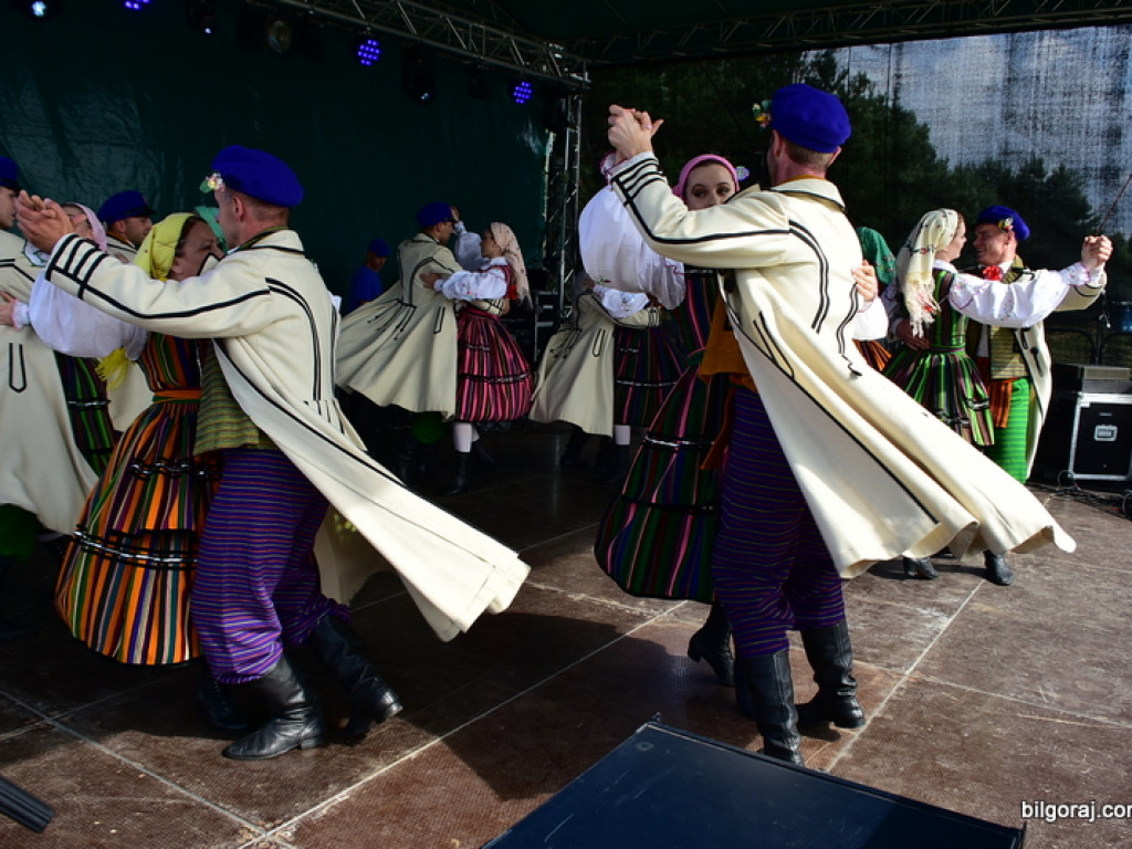 Bukowskie jagodzianki, czyli sezon zbioru jagód i runa leśnego (FOTO)