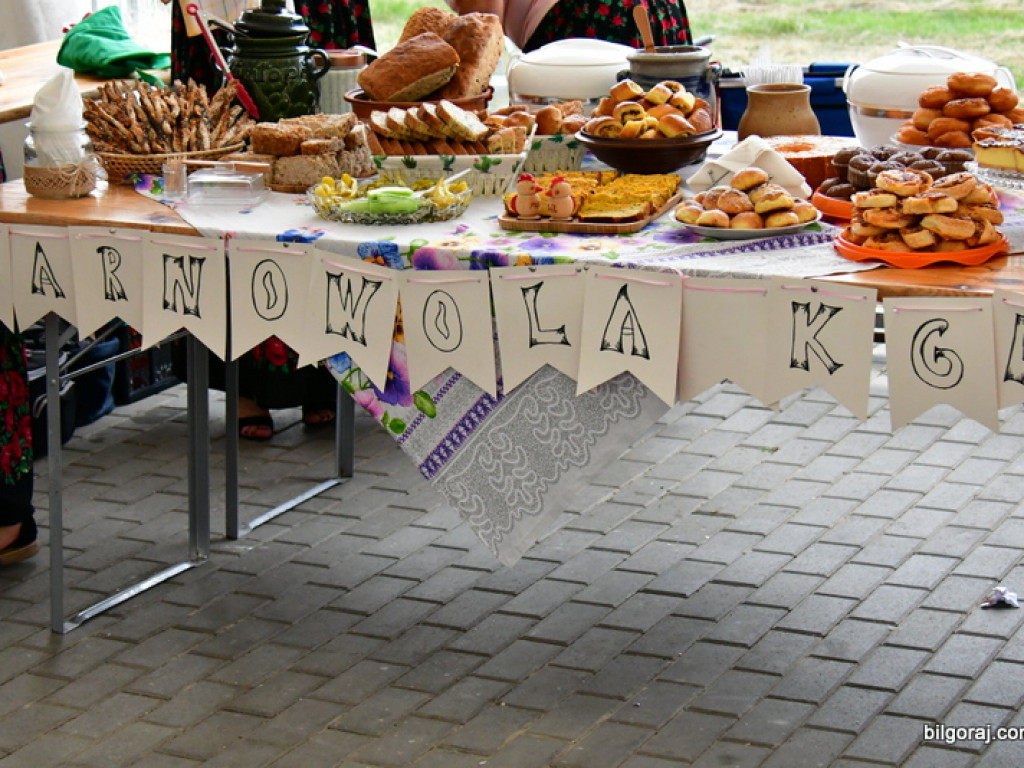 Co to znaczy pokochać Lubelskie zaprezentowano w Aleksandrowie (FOTO)