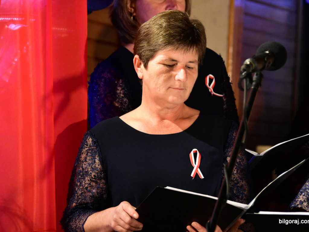 Wieczornica patriotyczna w 103. rocznicę odzyskania niepodległości (FOTO)